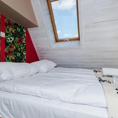 Apartamenty Sun & Snow Koscielisko Chotarz Z Basenem Exterior foto